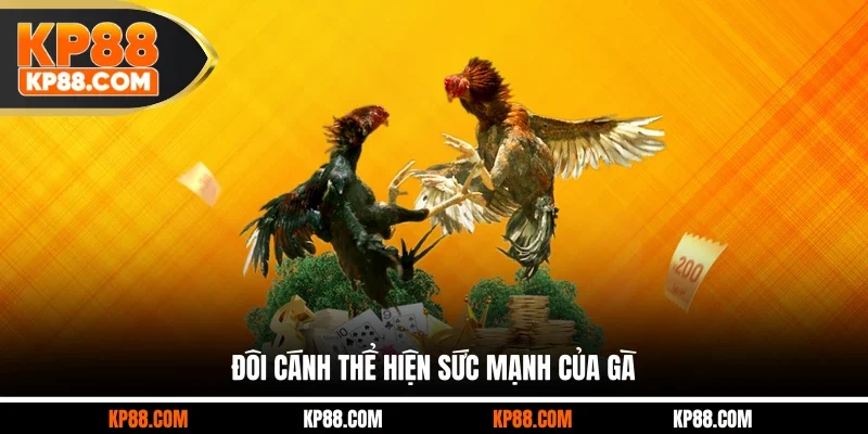 Đôi cánh thể hiện sức mạnh của gà