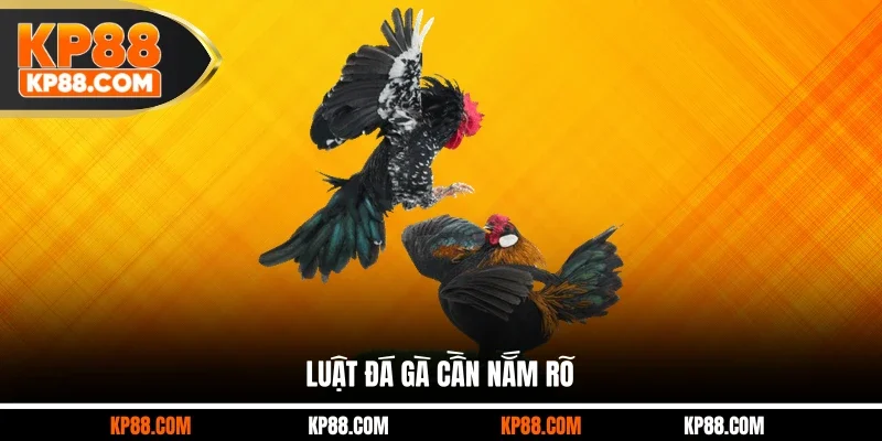 Luật đá gà cần nắm rõ